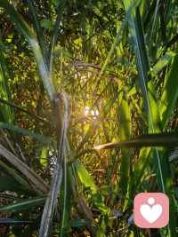  两日相伴，听见无数藏在心底的故事。放下偏见与评判，静静守候，既是治愈对方，也是一场自我修行。