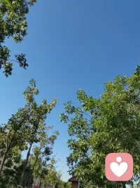 抬头仰望天空，映入眼帘的是一片蓝，带着点晨光，这样开启了我一天的生活配图