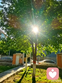 午后配图