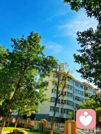 午后配图