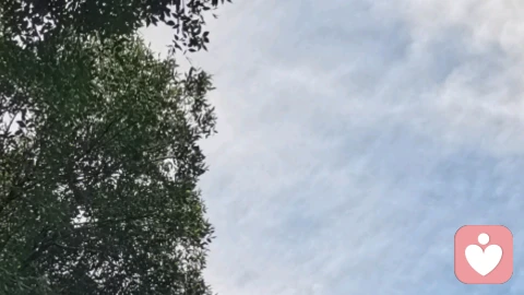 倾听初心，道法自然