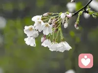 早安，6月最后一天，7月在路上