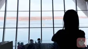 暖暖月光🦌