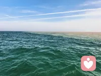 允许然后接纳，基本能解决生活中所有的情绪问题，问题是我们心中早已经有了衡量世界人事物的条条框框，在条框内我就允许接纳，不在之内我就不允许、不接纳，采取的措施想去改变，却使事情越搅越混，最后发现，一切都是徒劳无功，我们能做的只有改变自己，自己改变了，他人受了触动才能有所改变，通过强有力的改变即使有效果，也是有后遗症，人啊，能做的真的很有限。