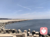 允许然后接纳，基本能解决生活中所有的情绪问题，问题是我们心中早已经有了衡量世界人事物的条条框框，在条框内我就允许接纳，不在之内我就不允许、不接纳，采取的措施想去改变，却使事情越搅越混，最后发现，一切都是徒劳无功，我们能做的只有改变自己，自己改变了，他人受了触动才能有所改变，通过强有力的改变即使有效果，也是有后遗症，人啊，能做的真的很有限。