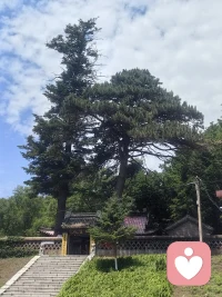世间有两样东西难以直视：骄阳，还有人心。
重情者遇背叛，痴心者被辜负，至亲之间，也常有嫌贫妒富的无奈。
 
有人说这想法太过消极，可这都是亲身经历换来的体会。几番伤害过后，很多人不再信任情谊，心中的光，也一点点黯淡下来。
 
心怀善意的人，总执着于真心换真心。可纯粹的美好终究是理想，人性的缺憾从古至今都未曾消失。世事难以强求，纵是先贤，也只能随缘引导。
 
别因为畏惧伤害，就封存了善意。本心澄澈，良善的缘分，向来不靠算计。事情无法解决时，不妨试着面对：解决靠技巧，直面见心境。每一个出现在生命里的人，都有其意义，别让怨气遮住成长的机会。
 
同一段过往，有人淡然处之，有人蓄力前行。过往的坎坷，会让善良变得清醒，让眼界变得开阔。那些强大的人，都是在看透世态炎凉后，默默沉淀，稳步向前。
 
所谓英雄主义，便是看透所有真相，历经万般风雨，依旧热爱这人间。配图