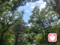 世间有两样东西难以直视：骄阳，还有人心。
重情者遇背叛，痴心者被辜负，至亲之间，也常有嫌贫妒富的无奈。
 
有人说这想法太过消极，可这都是亲身经历换来的体会。几番伤害过后，很多人不再信任情谊，心中的光，也一点点黯淡下来。
 
心怀善意的人，总执着于真心换真心。可纯粹的美好终究是理想，人性的缺憾从古至今都未曾消失。世事难以强求，纵是先贤，也只能随缘引导。
 
别因为畏惧伤害，就封存了善意。本心澄澈，良善的缘分，向来不靠算计。事情无法解决时，不妨试着面对：解决靠技巧，直面见心境。每一个出现在生命里的人，都有其意义，别让怨气遮住成长的机会。
 
同一段过往，有人淡然处之，有人蓄力前行。过往的坎坷，会让善良变得清醒，让眼界变得开阔。那些强大的人，都是在看透世态炎凉后，默默沉淀，稳步向前。
 
所谓英雄主义，便是看透所有真相，历经万般风雨，依旧热爱这人间。配图