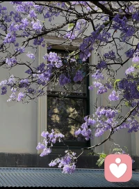 大家好，我是桑暖。
我拥有精神科临床工作经验。
日常与情绪困扰，焦虑，压力相伴。
这让我更懂得如何倾听你言语背后的感受。

在这里，我不是医生，我是你安全的树洞。
一盏温暖的小灯。
你可以放心说出那些无人可说的委屈，混乱和疲惫。

我会认真听，不带评判，严格保密。
如果你愿意，我们可以一起走一段夜路。#倾听师#情绪疏导#给力心理配图