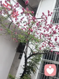 很多人问:怎么才能不焦虑?
我的回答是:焦虑 无法消除，但可以被理解。
试着写下你担心的事，然后问自己:

1.它发生的概率有多大?
2.我能做些什么来降低风险?
3.如果最坏的结果发生，我能承受吗?

把模糊的恐惧变成具体的问题，焦虑就会变小。
我是桑暖，陪你一起理清思路。
#焦虑#理性分析配图