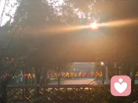 “心理学上有一个词叫'情绪劳动’-
就是你在别人面前保持稳定、温柔、耐心时，消耗的那部分能量。”

如果你今天觉得比平时累，很可能不是因为你没休息够，而是你一直在‘情绪劳动’:
回应别人、安抚情绪、维持体面。

今天可以试着少做一点情绪劳动，把那份温柔，先留给自己。”
我是桑暖，精神科临床经验。配图