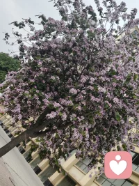 完美陷阱
完美主义：它不是追求卓越，是对羞耻的防御。

如果你必须做到完美，才不会觉得自己有问题，那说明你的内在有一个苛刻的审判者，时刻在打分。

这个审判者，往往来自早年那些“你不够好”的眼神和评价。

于是你拼命做好，不是因为你喜欢，是因为你怕。

但完美是一个永远到达不了的点，你只会累到动弹不得，然后更觉得自己失败。

我是桑暖，倾听师。如果你被“应该更好”压得喘不过气，这里有一个不用满分的空间。