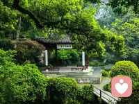 早起读书
午间冥想
傍晚跑步
夜里复盘
少刷手机
多看原书
少听观点
多做记录
每天进步
每周总结
每月修正
十年成型配图