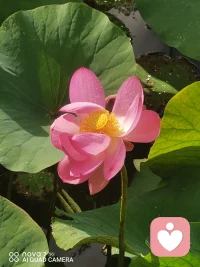 情绪的本质，不是敌人，而是信使

很多人习惯将情绪分为“正面”和“负面”，并试图压抑或消灭那些所谓的“负面情绪”。但现代心理学和神经科学告诉我们：情绪本身没有好坏，只有舒适与不舒适之分。

情绪是进化的遗产：恐惧让我们远离危险，愤怒帮我们捍卫边界，悲伤促使我们寻求社会支持，快乐则强化生存行为。它们是刻在基因里的生存算法。

情绪是身体的语言：当理智还在犹豫时，身体已经通过心跳、胃痛、紧绷的肩膀给出了答案。情绪是潜意识向意识发送的加急电报。

情绪是数据的载体：每一次情绪波动，都携带着关于“我在乎什么”、“我的边界在哪里”、“我的需求是否被满足”的高价值数据。

不要试图“解决”情绪，而要试图“解码”情绪。当你感到愤怒时，问自己：“我的什么边界被侵犯了？”当你感到焦虑时，问自己：“我在试图控制什么不可控的东西？”配图