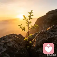 人痛到极点自有触底反弹的力量，给时间一点过程，很多伤痛终究会被慢慢改写。