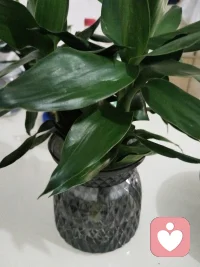 那些在工作无法释放的压力，在黑夜里写好的信息，写了又删，删了又写，怕发给朋又打扰，不妨试试找我倾诉一番，我在这里等你，反正谁也不认识谁