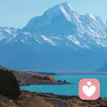 倾❤️心助你的头像
