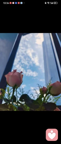 很多容易焦虑的人，都有一个共性习惯：过度做计划。很多人把这种行为当成自律和条理，但本质上，这并不是积极的生活方式，而是内心安全感缺失引发的自我内耗。