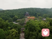 回归，大自然。配图