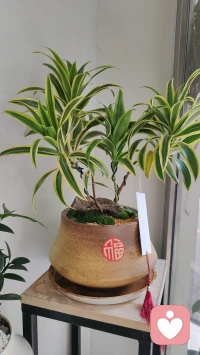 一个人真正的快乐：不会把自己快乐的开关，交到别人手里