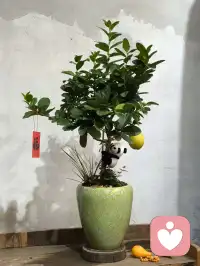 转载：当你认真对待每一个寻常的日子，琐碎的时光也会慢慢生出质感。这份真切的烟火幸福，藏在每一件小事里，也是人生最稳当、最绵长的高回报。