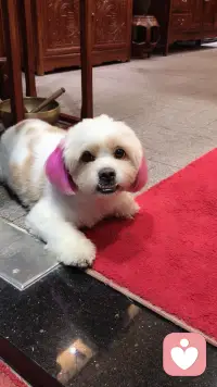 ～～我是小暖，懂你深夜无人倾诉的低落，知你藏于心底说不出口的心酸。不必强迫自己时刻坚强，不必事事独自消化。我守一方柔软角落，认真聆听你的全部心事，包容所有负面情绪，陪你慢慢与自己和解。配图