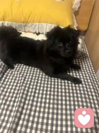 ～～小暖别的都不会，就爱乖乖听你碎碎念最在行啦😍😍配图