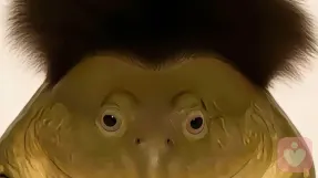 与光同尘、