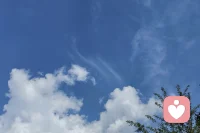 急雨过后，太阳照常升起。🌤️
生活里的“急雨”总是猝不及防，但别忘了，能冲刷阴霾的，除了时间，还有你内心的光。
雨停了，记得给自己一个微笑。😊配图