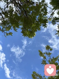 6月26日，周五，晴天。

窗外鸟鸣清脆，阳光正好。

一周的疲惫，被这声鸟叫轻轻接住。

周末，慢慢来。🌿