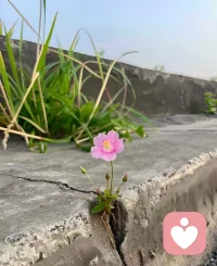 7月2日，晴。没什么特别的事，只是觉得今天的光，刚刚好～～