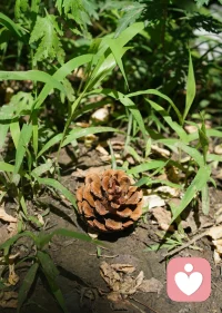 7月3号，晴，热到融化。既然高温让奔波都成了徒劳，不如心安理得地做个“无用”的人。躲进空调房发发呆，允许自己虚度光阴，在这滚烫人间，守住一份难得的清凉。🍃