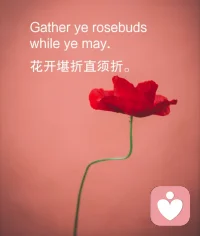 当你疯狂的迷恋一个人 ，一次次触碰自己的底线 ，想放弃却又舍不得时 ，这个人一般都不是你的正缘 ，只是你需要闯过的情劫。

爱是互相尊重，是互相退让，更是互相保护。真爱让人清醒。