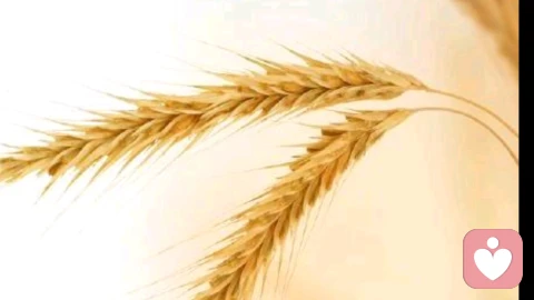 放过自己,走出背叛的阴霾