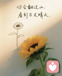 人生难免会遇见一座座挡路的山，焦虑、委屈、迷茫都藏在山雾里。
不用独自硬扛，我做你的倾听者，接住你所有无处安放的情绪。
等云雾散去，你一定会翻过这座山，撞见一望无际的万丈晴天。