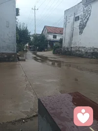 风四处游走，藏着说不出口的想念，起风的时候，思念也跟着漫上来了。