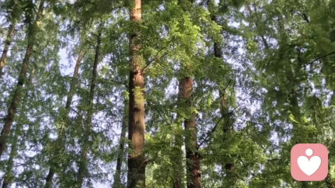放下幻想,建立属于自己的人生战略