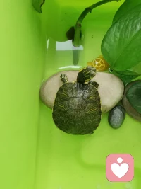 早安😊