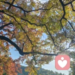 受气包 发泄专属的头像