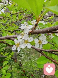 心里的苦闷如同积水，一味隐忍只会慢慢溢满。成年人习惯捂住情绪、独自疗伤，长期压抑只会失眠焦虑。不必强迫自己万事自愈，适当倾诉、合理发泄，才是善待自己最简单的方式。
