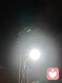 惧怕语音通话、开口倾诉就紧张局促，说话容易哽咽卡顿，害怕声音暴露脆弱，这大概是很多社恐人的常态。满腹委屈、失眠焦虑、心里积攒的心事，始终不敢通过通话诉说。
全程纯文字倾听，不用露面、不用发声，你可以慢慢编辑文字，从容释放所有负面情绪。我耐心共情，不评判、不催促、不打探隐私。
采用站内礼物结算，安全保密。如果你只想打字倾诉、文字哄睡疏导，私信我就好。