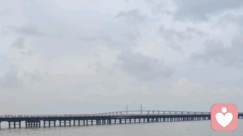 社恐的温柔救赎:不用开口,文字也能安放所有委屈