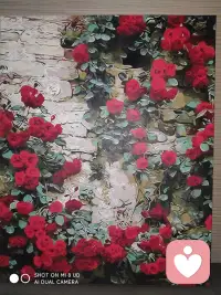 我们总在讨好身边所有人，唯独忽略内心的自己。
在意别人的眼光，纠结过往遗憾，担忧未知以后，日复一日陷入内耗。从今天起，试着把重心放回自己身上，接纳所有不完美，安抚不安的情绪，慢慢自愈，慢慢变好。配图