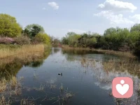弗洛伊德说，真正看不起你的人是不会批评你的，他只会看着你在错误的路上越走越远。