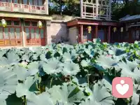 如果你有健康的身体和稳定的情绪，那么你的人生可以说是成功了一大半了，至于其他的东西，有便是锦上添花，无亦可了无遗憾。