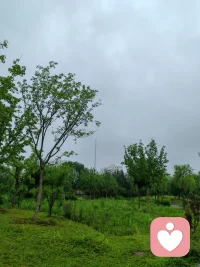 应该合群的时候就合群，应该独处的时候就独处，不要总在乎已经失去了谁，而应该在乎最后剩下的都有谁。在拥有和失去之间，记得永远不要失去自我。