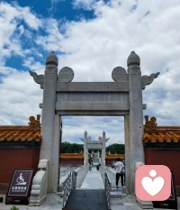 孩子是独立的个体，家长不可能替他们活着，所以要循序渐进地放手，你怎么知道他们不能展翅高飞呢