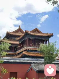 孩子是独立的个体，家长不可能替他们活着，所以要循序渐进地放手，你怎么知道他们不能展翅高飞呢