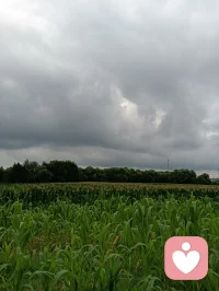 一场秋雨一场寒