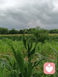 一场秋雨一场寒