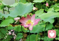 春花秋月，四季往复，人的心情一样可以有春夏秋冬，否则也太单调了吧